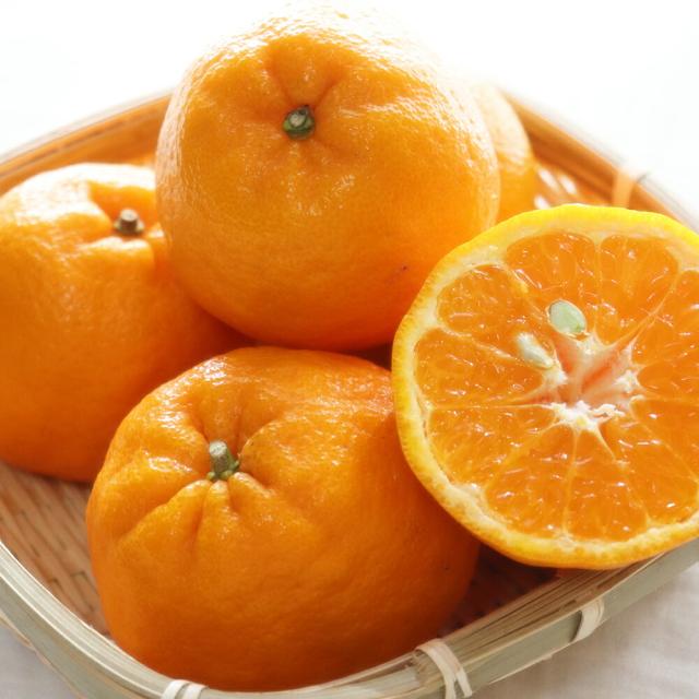 ポンカン 1箱 約5kg 家庭用 広島県大長産 サイズいろいろ 送料込み 産地直送 みかん 大崎下島 上神農園の通販は 5,206円