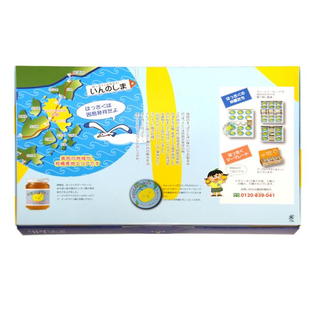 因島のはっさくゼリー １２個入り ３箱セット ７８ｇ×１２個×３箱 進物用 手提げ袋付き 送料無料 銀座tau 広島県産 八朔ゼリー おりづるタワー人気商品 お土産 銀座tau_4