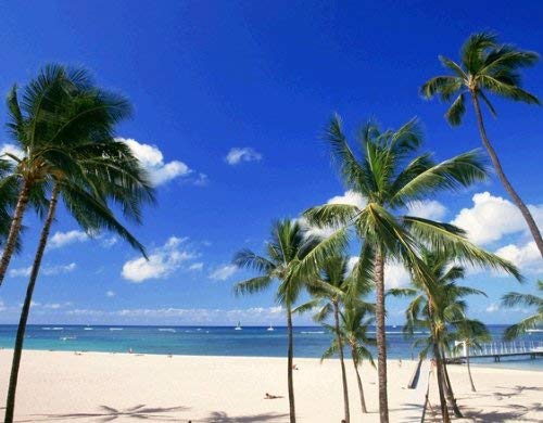 ハワイアンホースト マカダミアナッツ チョコレート 3.5oz 7粒 10箱セット 送料込み HawaiianHost ハワイお土産