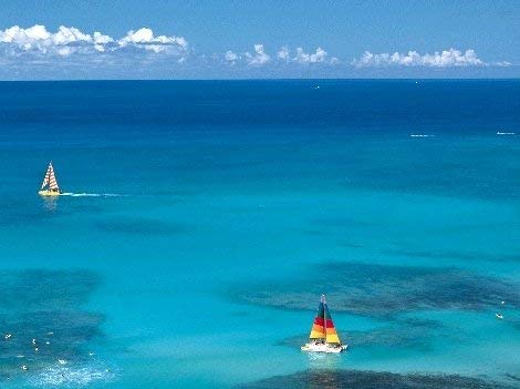 ハワイアンホースト マカダミアナッツ チョコレート 3.5oz 7粒 10箱セット 送料込み HawaiianHost ハワイお土産