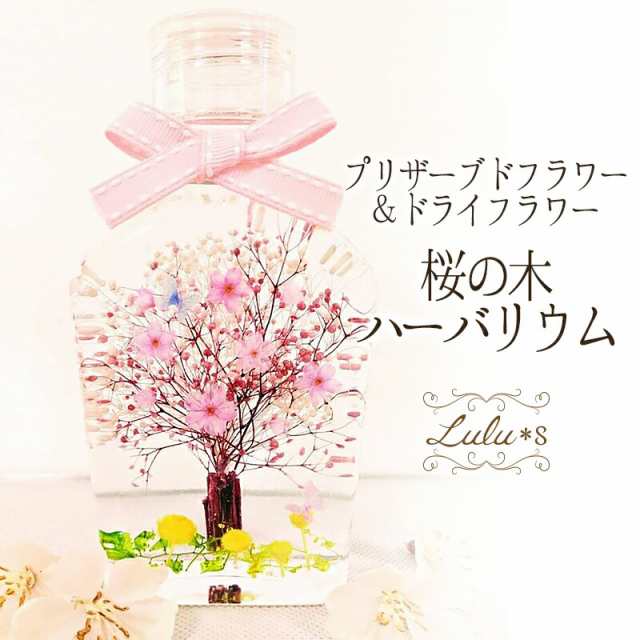 桜 ハーバリウム さくらの木 角スキットル瓶 ハーバリウム ドライフラワー 母の日 オイル 花 誕生日 プレゼント ギフト ブリザーブド  ウェディング 祝い ホワイトデー 入学 卒業 入社 退職 Lulu's-1636の通販は