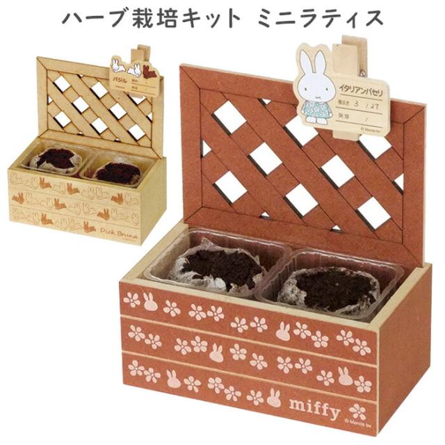 ミッフィー うさぎ ハーブ 栽培 キット ラティス パセリ バジル 日本製 栽培キット 栽培セット セット 室内 夏休み 自由研究 苗 土 植物 の通販はau Pay マーケット キラキラアイランド