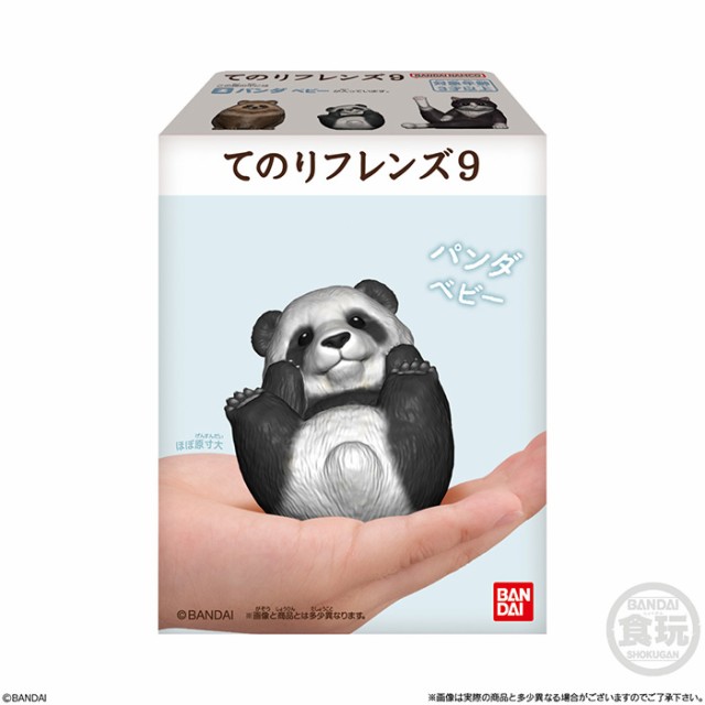 送料無料 BANDAI Candy てのりフレンズ9 第9弾 12個入 BOX ボックス 食