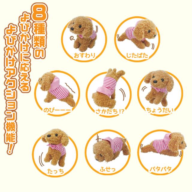 送料無料 よびかけ アクション 愛犬 モカちゃん 動く 鳴く ぬいぐるみ いぬ 犬 トイプードル 癒し 人形 ペット 音声認識 おしゃれ かわいの通販はau Pay マーケット キラキラアイランド 送料無料 よびかけ アクション 愛犬 モカちゃん 動く 鳴く ぬいぐるみ いぬ 犬 トイプードル 癒し 人形 ペット 音声認識 おしゃれ かわいの通販はau Pay マーケット キラキラアイランド