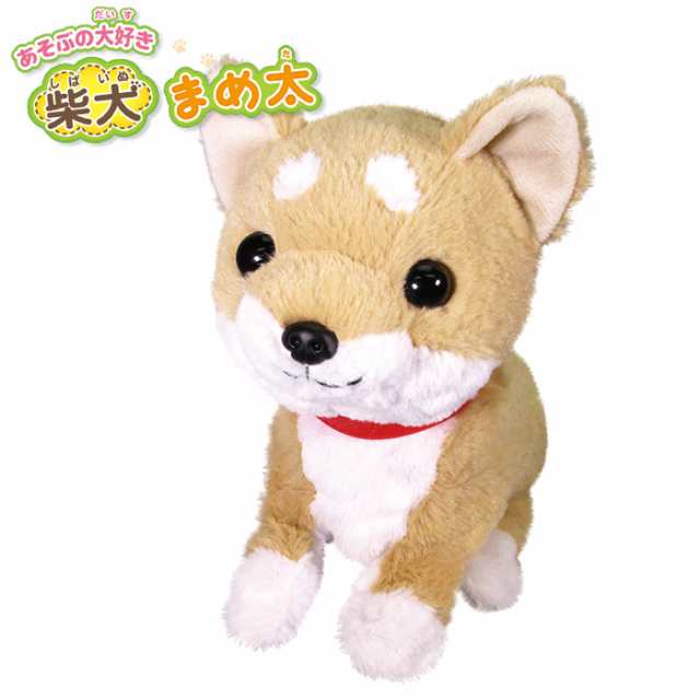 送料無料 あそぶの大好き 柴犬 まめ太 動くおもちゃ 動く