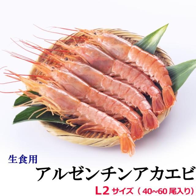 えびえび 楽天市場】赤えび 開き 20尾（約12〜13cm） アルゼンチン 赤エビ