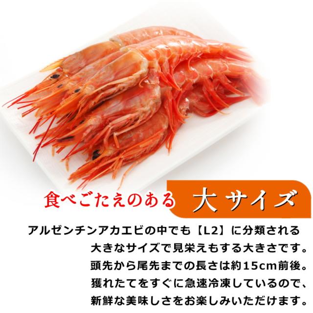 アルゼンチン 赤海老 2kg 40-60尾入【L2】 サイズ 赤えび 赤