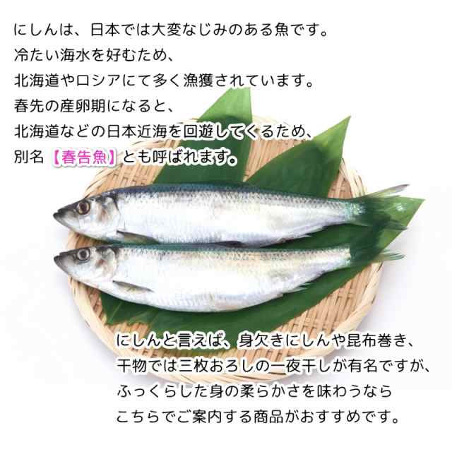 にしん 鰊 ニシン 干物 子持ちにしん 丸干し ５本セット 数の子入り 鰊