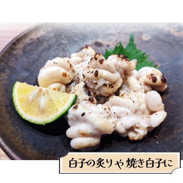 白子 真鱈の白子 500g 生食可 ブランチ加工 しらこ 鱈白子 たち・真鱈