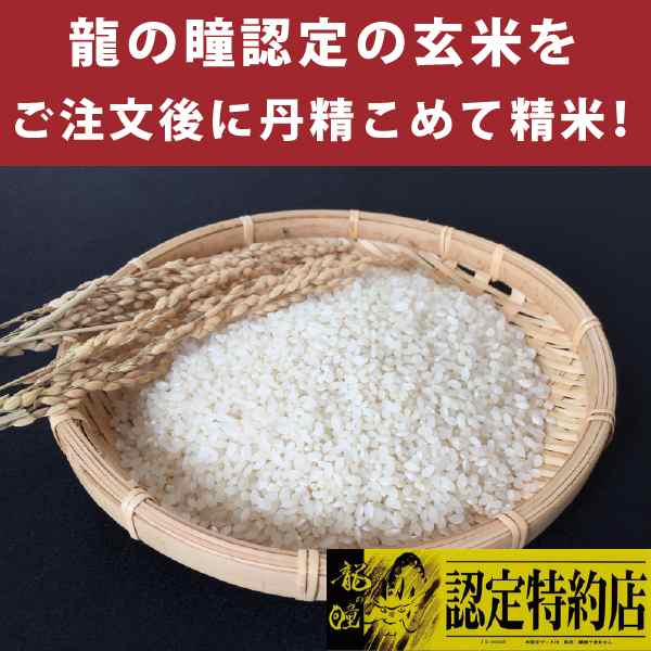 龍の瞳 450gお試し用 岐阜県産 いのちの壱 令和5年産米 ポイント消化 ホスト投函 送料無料 の通販はau PAY マーケット - 日本ライズ  au PAY マーケット店 | au PAY マーケット－通販サイト