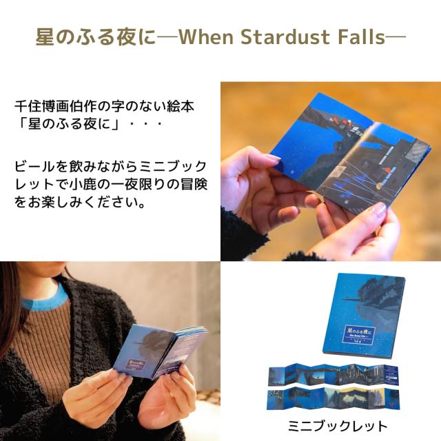 ビール ギフト クラフトビール 飲み比べ 詰め合せ セット お返し 内祝い 出産内祝い 贈答品 THE軽井沢ビール 地ビール お祝い 高級 特選瓶セット 「錦」 330ml瓶×20本 T-BC_6