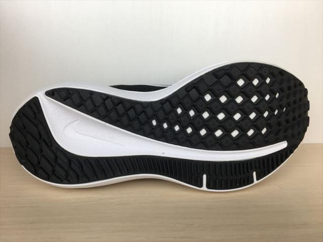 NIKE（ナイキ） AIR WINFLO 10（エアウィンフロー10） DV4023-003 スニーカー 靴 ウィメンズ 新品 (1989)_2