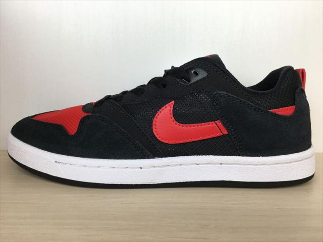 NIKE（ナイキ）(SB) ALLEYOOP（アリウープ） CJ0882-006 スニーカー 靴 メンズ 新品 (2257)