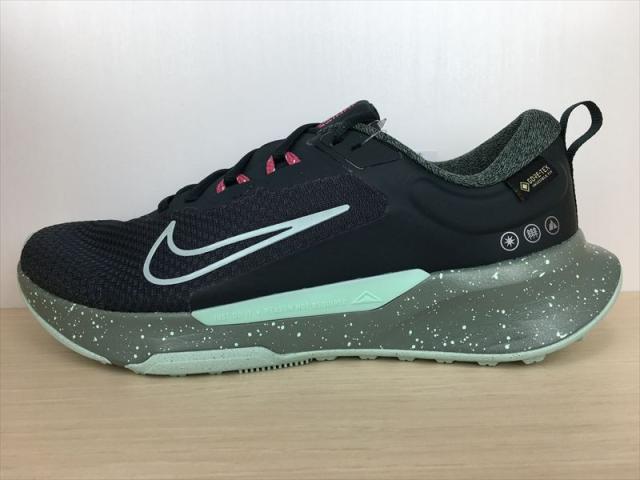 NIKE（ナイキ） JUNIPER TRAIL 2 GTX V2（ジュニパートレイル2 GTX V2） HM9734-302 スニーカー 靴 メンズ 新品 (2402)