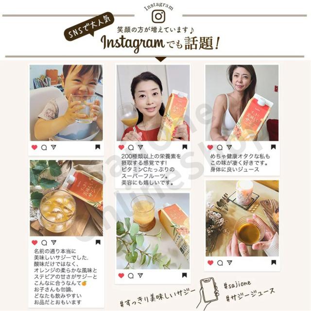 すっきり美味しいサジー 1000ml 5本セット サジージュース 鉄分 