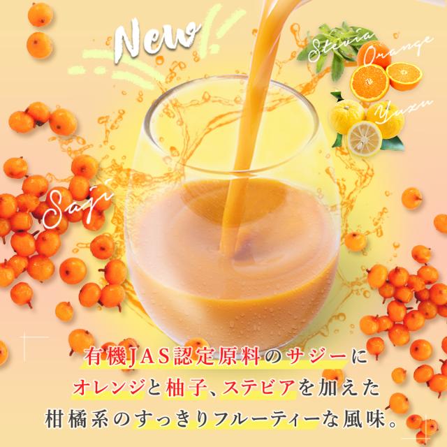 サジージュース すっきり美味しいサジー 1000ml 5本セット 鉄分