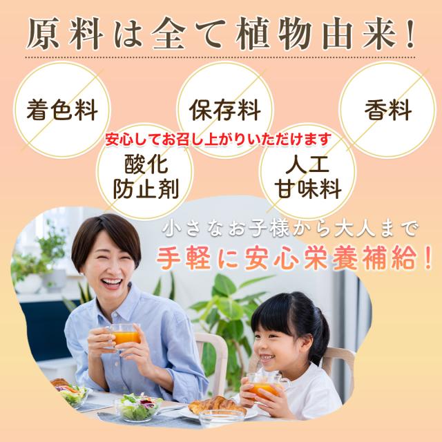 サジージュース すっきり美味しいサジー 1000ml 5本セット 鉄分