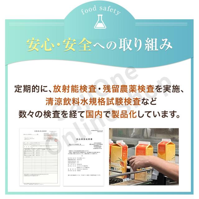 すっきり美味しいサジー 1000ml お得な8本セット サジージュース SajiOne公式 鉄分 サジーワン サジーベリー オレンジ 