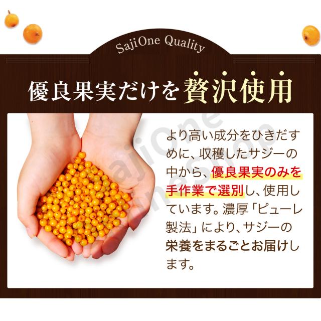 すっきり美味しいサジー 1000ml お得な8本セット サジージュース SajiOne公式 鉄分 サジーワン サジーベリー オレンジ 