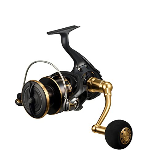 ダイワDAIWA スピニングリール 23BG SW 8000-H