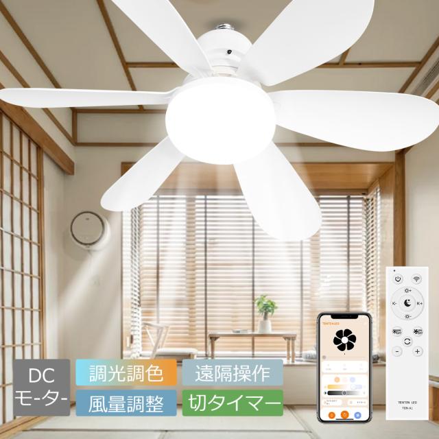 VENTORA シーリングファン Aerion ホワイト Amazon.co.jp : VENTOTA