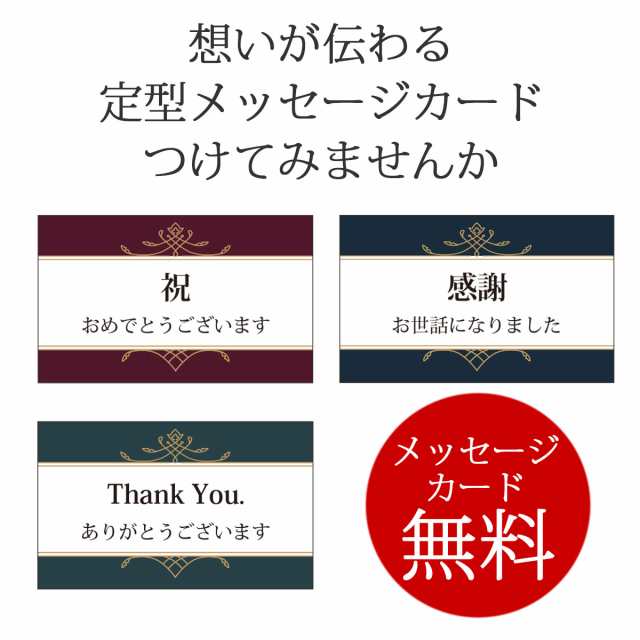 プラチナ万年筆 名入れ #3776 センチュリー コンバーター付属 or カートリッジ10本付属 3色選択可 即日 名入れ可 送料無料