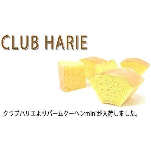 CLUB HARIE クラブハリエ バームクーヘン バウムクーヘンmini ミニ 18