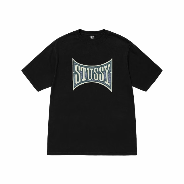 ステューシー カットソー 半袖 STUSSY メンズSTUSSY CHAMPION PIGMENT 
