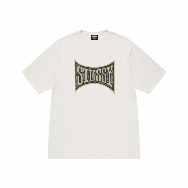 STUSSY CHAMPION PIGMENT DYED TEE ステューシー