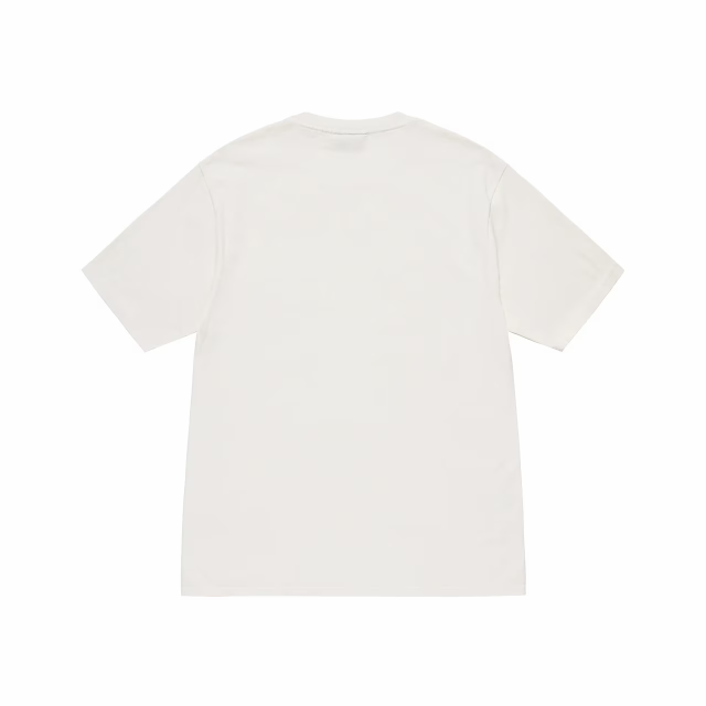 STUSSY CHAMPION PIGMENT DYED TEE ステューシー