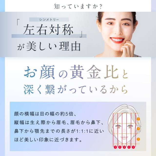EMS美顔ローラー 美顔器 NIPLUX BEROLA ベローラ 8個ローラー Y