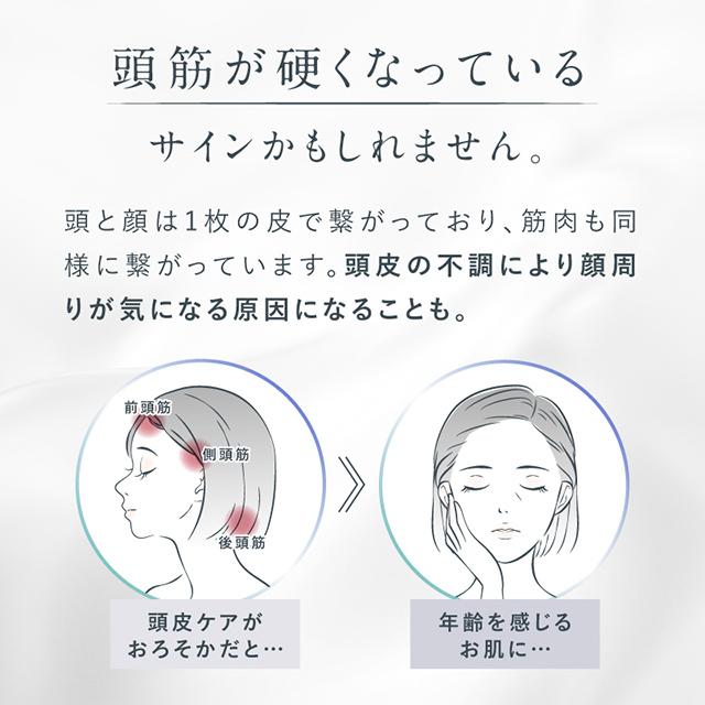 電気ブラシ EMS美顔器 リフトアップ 頭皮ケア ブラシ型 NIPLUX EMS LIFT BRUSH リフトブラシ 頭皮マッサージ ヘッドマッサージ リフトケア 小顔 光LED 高速振動 ほうれい線 しわ しみ 美顔ローラー ギフト プレゼント その他ヘアケア家電