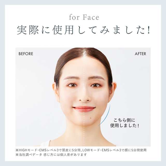 電気ブラシ EMS美顔器 リフトアップ 頭皮ケア ブラシ型 NIPLUX
