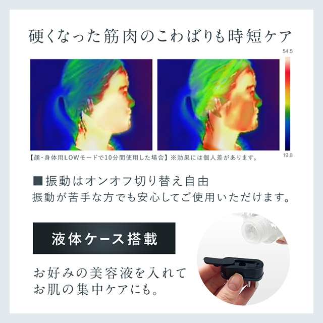 電気ブラシ EMS美顔器 リフトアップ 頭皮ケア ブラシ型 NIPLUX