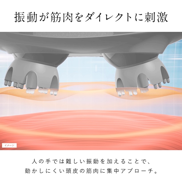 自宅でプロのヘッドスパ体験 頭皮マッサージ器 NIPLUX HEAD SPA ヘッド