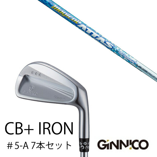 7本セット/イオンスポーツ ジニコ GINNICO CB+ Iron #5-A/スチールファイバー Hツアー シリーズ トゥルーテンパー/EONSPORTSの通販は