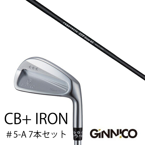 7本セット/イオンスポーツ ジニコ GINNICO CB+ Iron #5-A/クレイジー STP Iron STPアイアン CRAZY/EONSPORTSの通販は