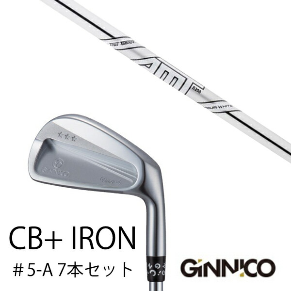 7本セット/イオンスポーツ ジニコ GINNICO CB+ Iron #5-A/ダイナミックゴールド DG AMTツアーホワイト/EONSPORTSの通販は