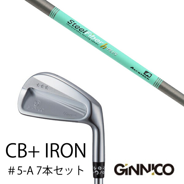 7本セット/イオンスポーツ ジニコ GINNICO CB+ Iron #5-A/スチールファイバー Hプラス シリーズ トゥルーテンパー/EONSPORTSの通販は
