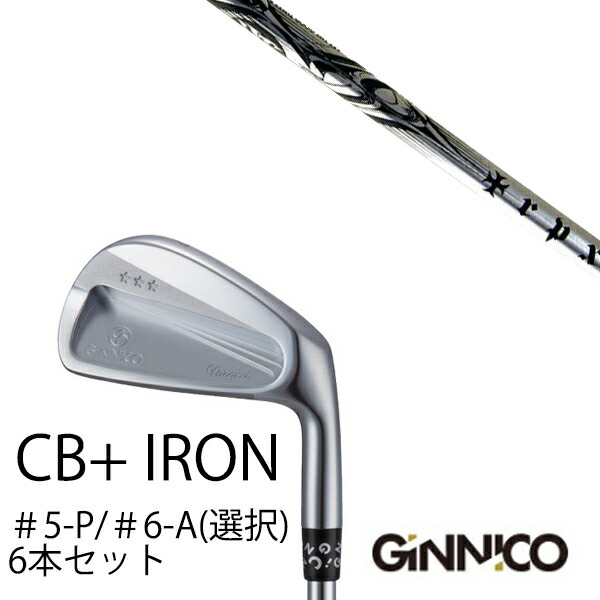 6本セット イオンスポーツ ジニコ GINNICO CB+ Iron #5-P ＃6-A 番手選択 TRPX trpx-Iron トリプルエックス アイアン EONSPORTSの通販は 153,300円