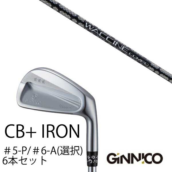 6本セット イオンスポーツ ジニコ GINNICO CB+ Iron #5-P ＃6-A 番手選択 ワクチンコンポ GR451 WACCINEcompo GR451 EONSPORTSの通販は