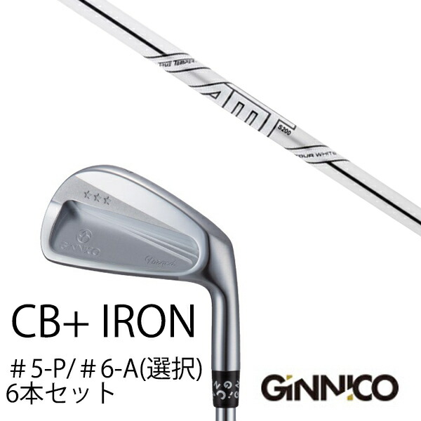 6本セット イオンスポーツ ジニコ GINNICO CB+ Iron #5-P ＃6-A 番手選択 ダイナミックゴールド DG AMTツアーホワイト EONSPORTS