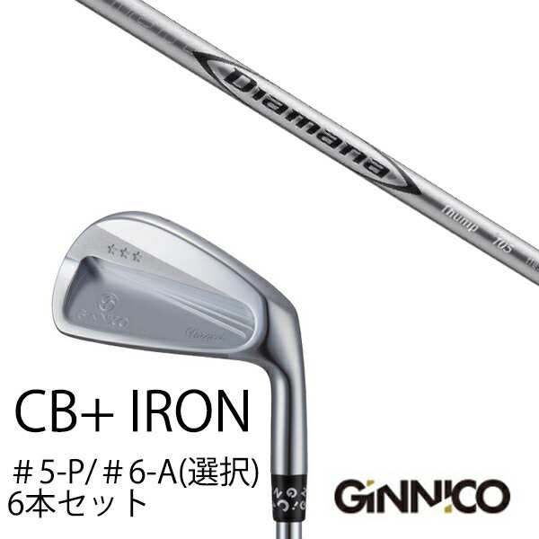 6本セット イオンスポーツ ジニコ GINNICO CB+ Iron #5-P ＃6-A 番手選択 ディアマナ サンプ Diamana Thump 三菱ケミカル EONSPORTS