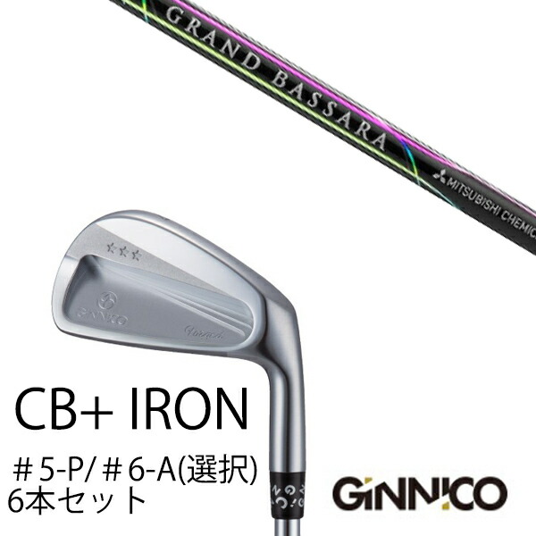 6本セット イオンスポーツ ジニコ GINNICO CB+ Iron #5-P ＃6-A 番手選択 グランド バッサラ アイアン 三菱ケミカル EONSPORTS
