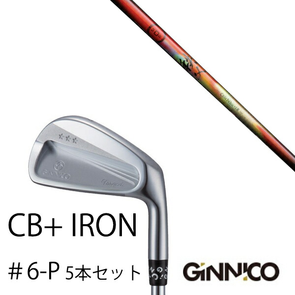5本セット/イオンスポーツ ジニコ GINNICO CB+ Iron #6-P/秩父 chichibu アイアン グラファイトデザイン/EONSPORTS