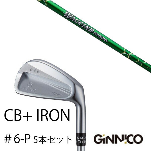 5本セット/イオンスポーツ ジニコ GINNICO CB+ Iron #6-P/ワクチン ...