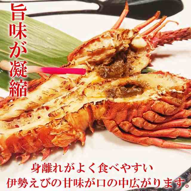 1尾200~250g　伊勢えび　焼くだけ簡単　干物　1尾入り　ショクコレ　グルの通販はau　マーケット　無添加　伊勢海老干物　au　三重県　国産　テレビ放送　志摩市　生ひもの　マーケット－通販サイト　生干し　高級珍味　PAY　PAY