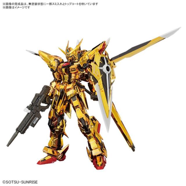 BANDAI SPIRITS(バンダイスピリッツ) RG 機動戦士ガンダムSEED DESTINY 