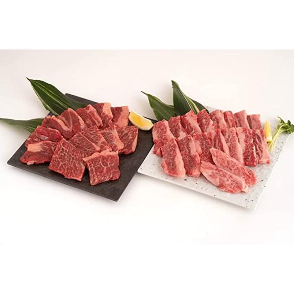 【熊本県産赤牛】くまもと食彩の力 くまもと あか牛 カルビ＆肩ロース 合計600ｇ 焼肉用【冷凍パック】の通販は