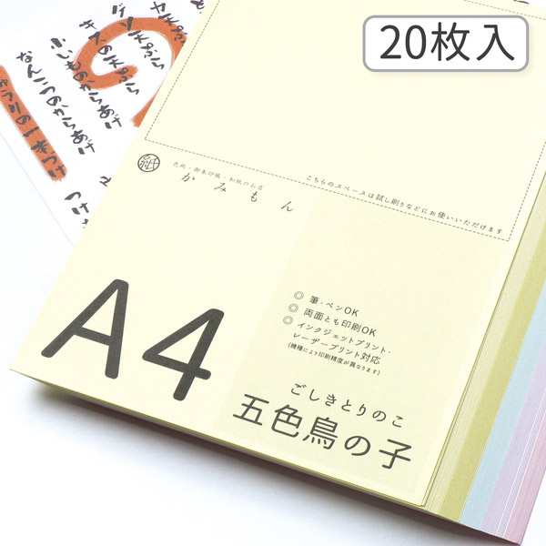 日時指定 和紙のコピー用紙 B5サイズ 奉書 画仙 20枚入り 25.7×18.2 cm